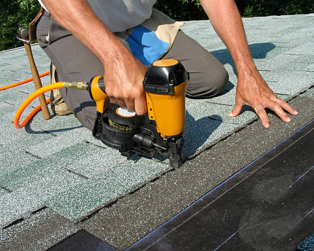 Best Roof Gutter Cleaning  in Lewisburg, WV